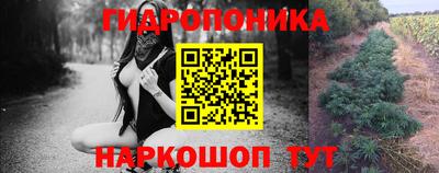 сатива Кунгур
