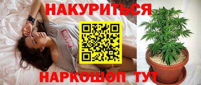 сатива Кунгур