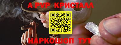 сатива Кунгур