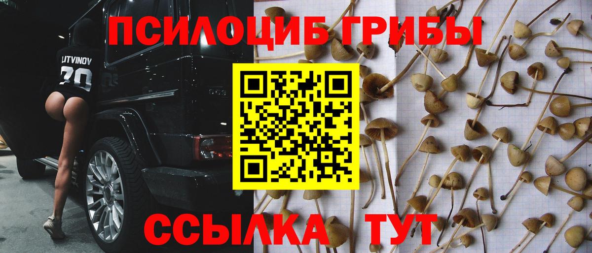 Псилоцибиновые грибы MAGIC MUSHROOMS Салехард